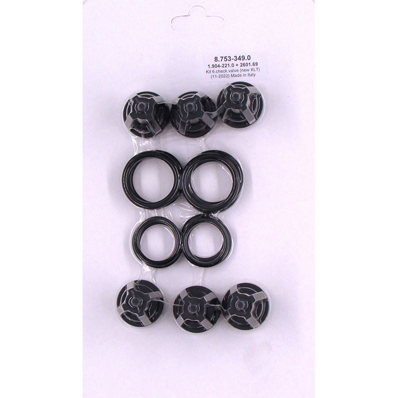 Karcher Valve Kit