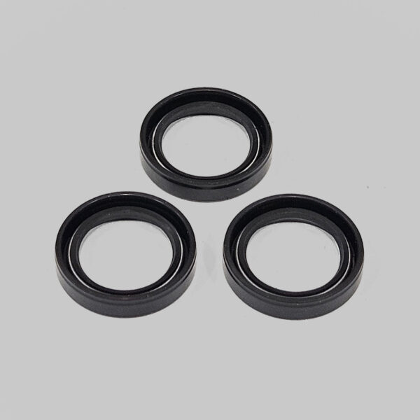 Annovi Reverberi Oil Seals - AR880520