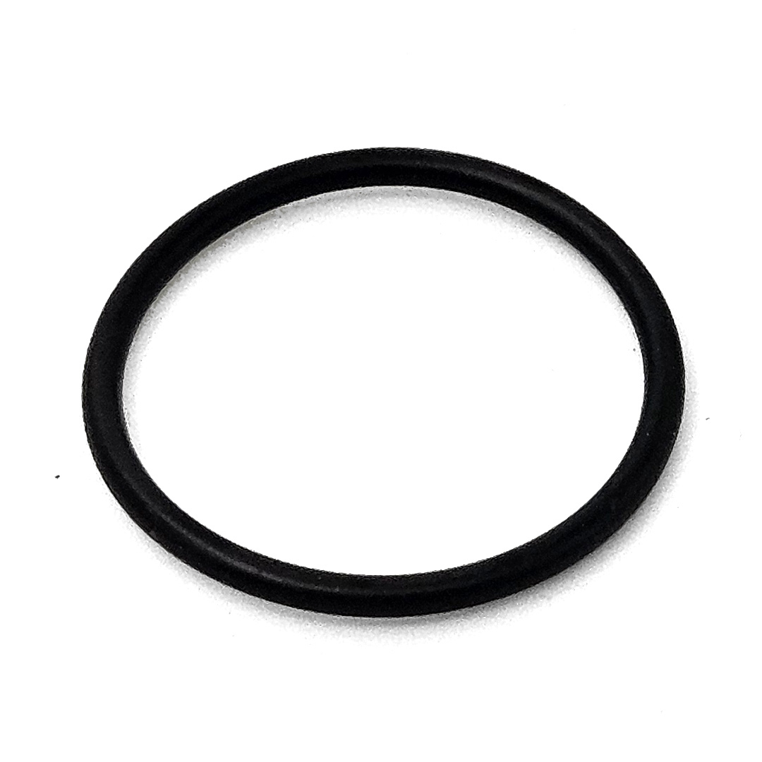 Green Cap Filter O-Ring - 8.705-900.0